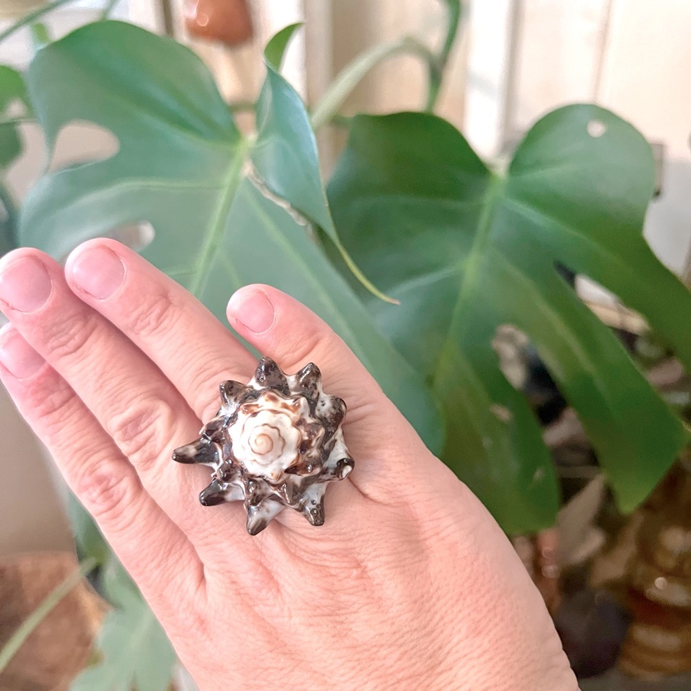 Natural hand made shell conch ring nature, polished, carved, beach, rustic, sea